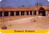 Desert Resort